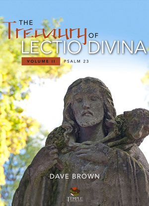 Treasury of Lectio Divina, Volume 2