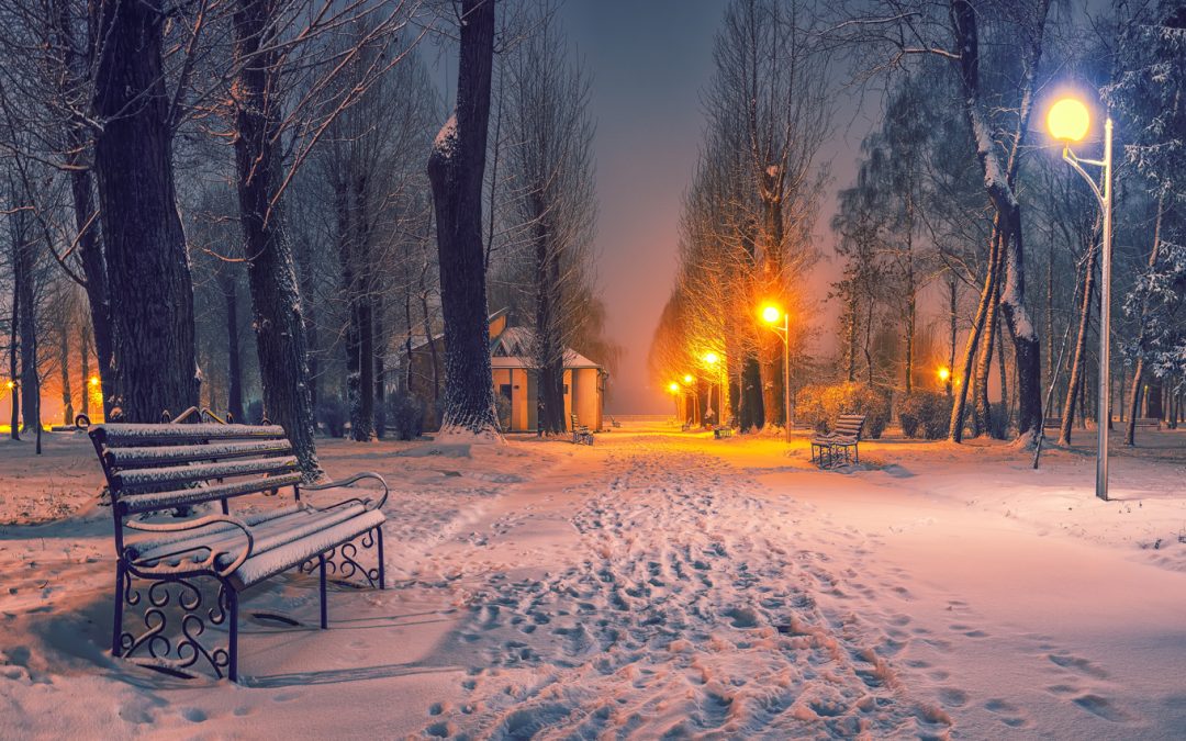 Silence and Stillness… A Meditation