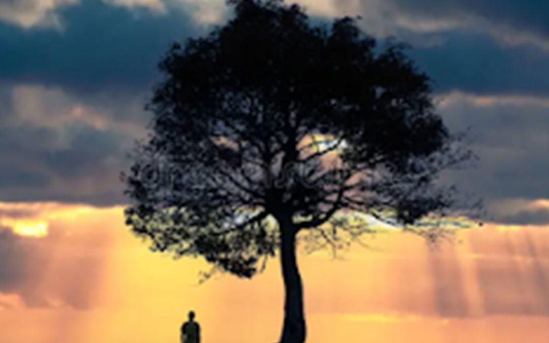 Life Mastery